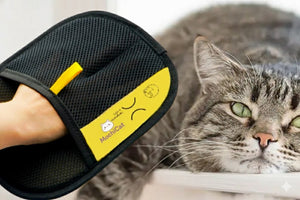 Pet Hair Remover Grooming Gloves